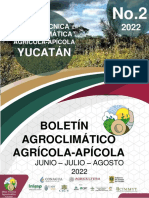 Segundo Boletín MTA Yucatán Junio Julio Agosto