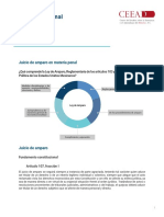 Tema 12. Recurso Adicional. Juicio de Amparo en Materia Penal