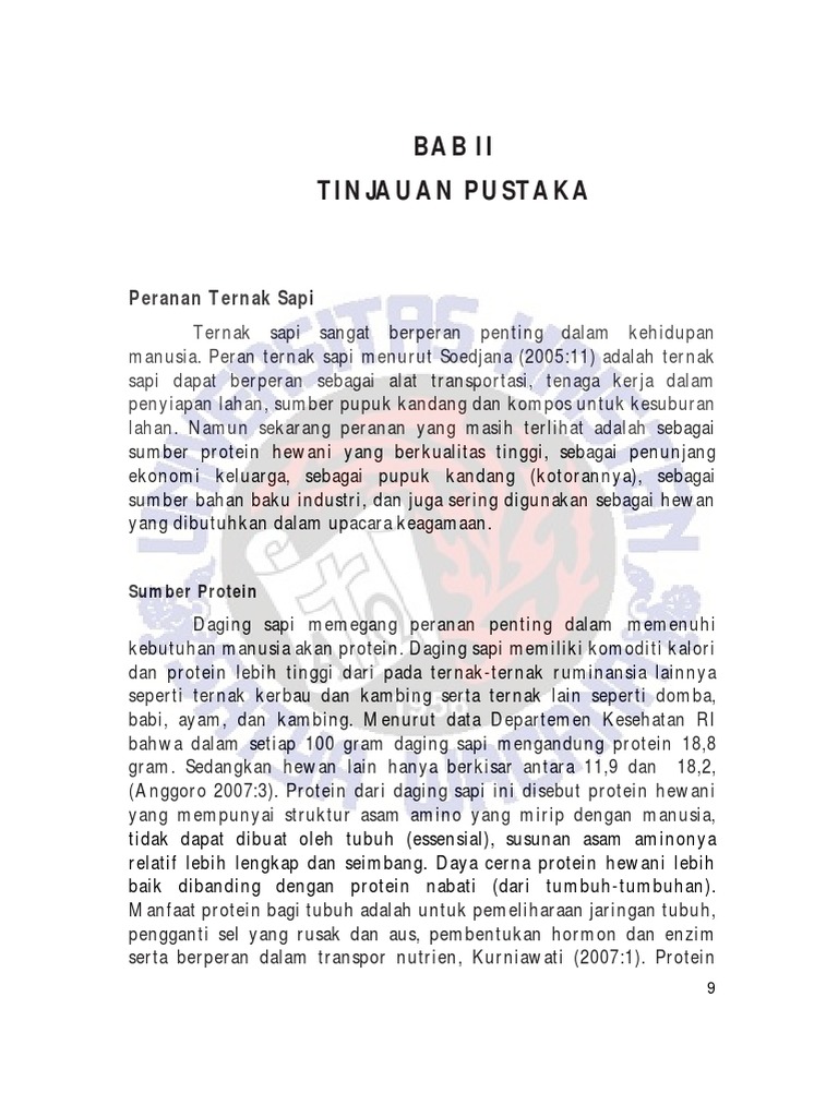 Peran Ternak Sapi dalam Ekonomi dan Gizi | PDF