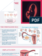 Chapter 34 Lesson 3: What Controls The Embryonic Development?