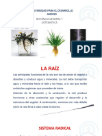 Botanica General y Sistematica. 2 Estructura de Las Plantas