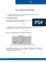 VARIACION DE LA PRESIÓN CON LA PROFUNDIDAD