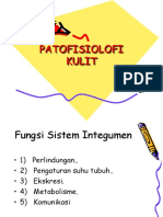 Patofisiologi Integumen