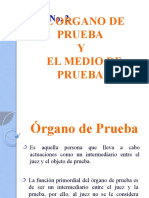 g2 Organo y Medio de Prueba