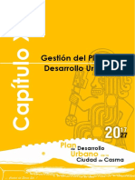 (CAPITULO X) 10. Gestion Institucional