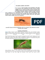 Nyamuk Aedes Aegypti