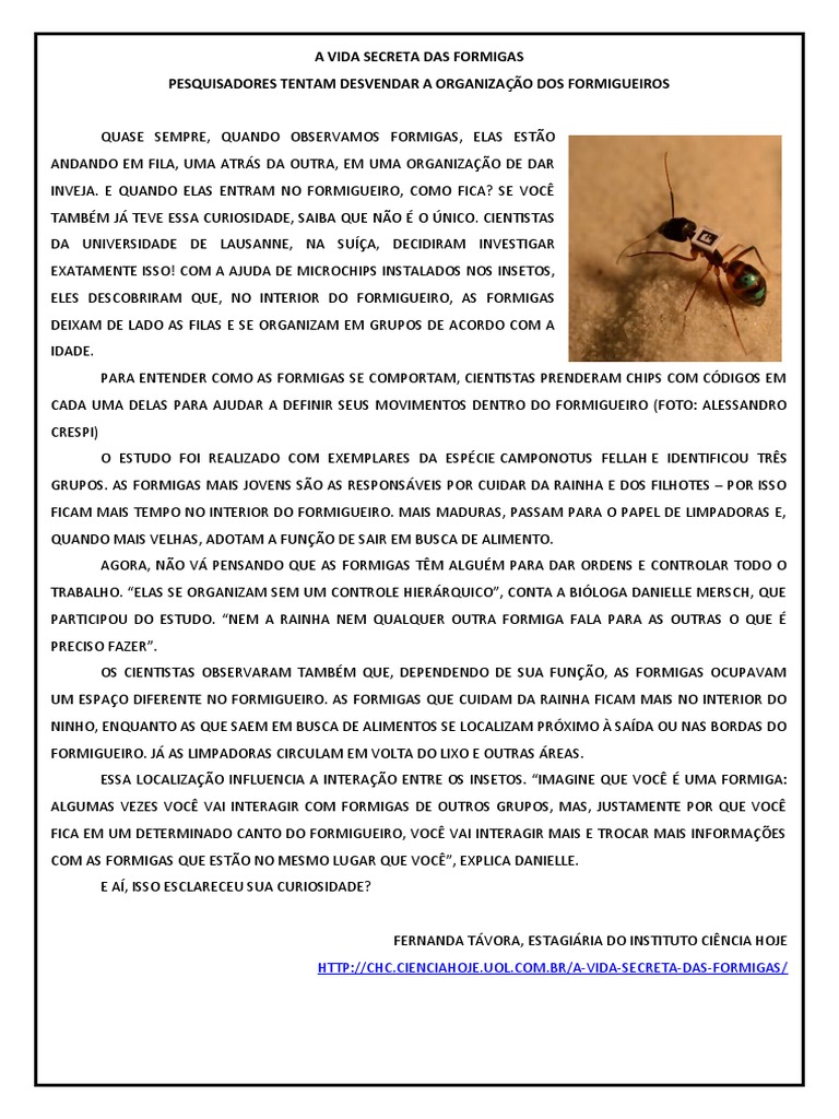 A Vida Secreta Das Formigas Pesquisadores Tentam Desvendar A Organização  Dos Formigueiros | PDF | Formiga | Science, image size:768x1024