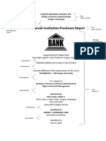 Practicum Report Guidelines