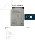 Biology Assignment: 1. G, D, A, F, E, C, B 2. A. A Placenta B Umbilical Cord C Amnion D Fetus