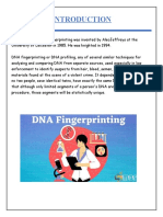 DNA Fingerprinting Identifies Individuals at Molecular Level