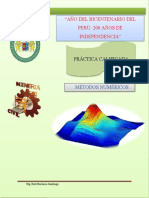 TRABAJO METODOS NUMERICOS - Practica Calificada