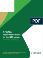 Spine20 Recommendations To The G20 Group: Executive Summary