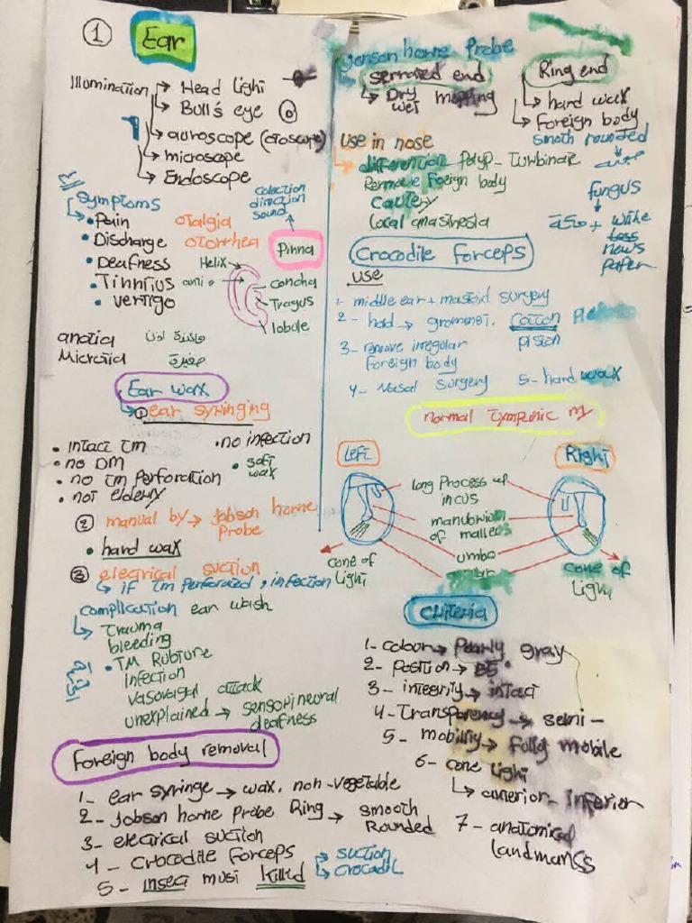 Ent Notes | PDF