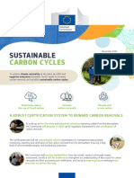 Factsheet - Sustainable Carbon Cycles EN PDF