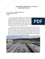 A169128 - Virtual Industrial Report On A Sewage Treatment Plant