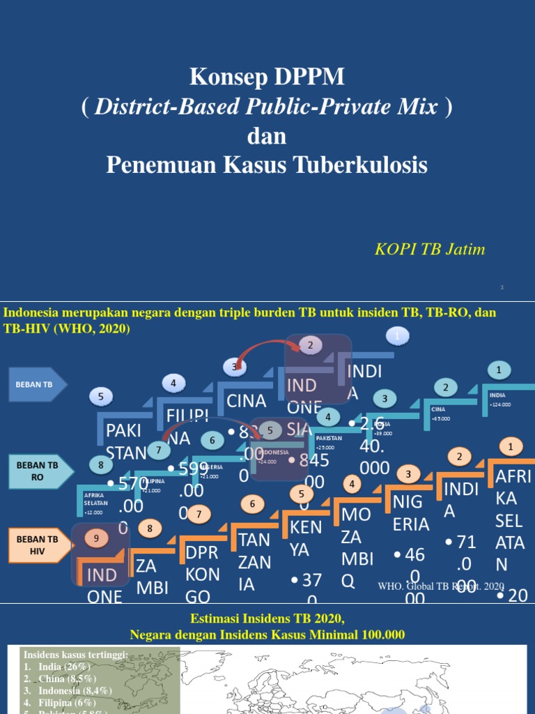 DPPM: Penemuan Kasus TBC di Indonesia | PDF