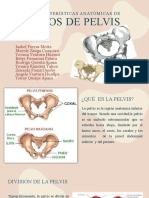 Caracteristicas de Tipos de Pelvis