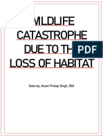 Wildlife Catastrophe Due To Loss of Habitat