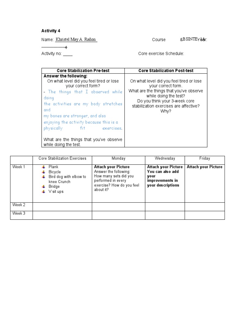 Core Stabilization Exercise Log | PDF | Self-Improvement