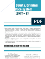 Criminal Justice System IRD Final