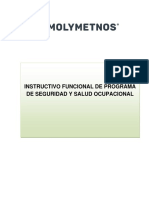 Instructivo Funcional de Programa de Seguridad y Salud Ocupacional