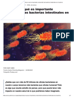 Aprende Por Qué Es Importante Comprender Las Bacterias Intestinales en El Autismo