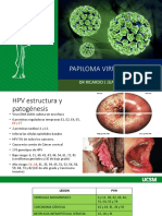HPV y Hepatitis - Merged