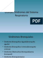 Grandes Sindromes Respiratorios