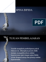 Anak Dg Spina Bifida.doc