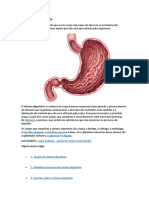 Sistema Digestório - 1