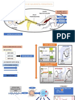 Neurocovid - SGB