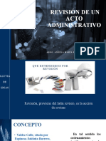 Revision Del Acto Administrativo