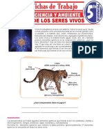 5° Primaria - Bioquimica