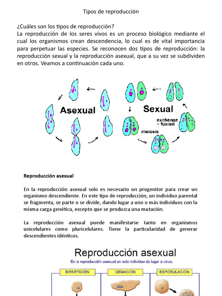 Tipos de Reproducción en Seres Vivos | PDF | Sexo | Reproducción sexual