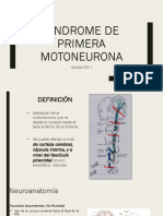 Clase 11 Sindrome de Primera Motoneurona