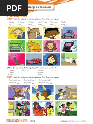 champions_starter_vocab_extension