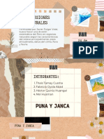 Puna y Janca