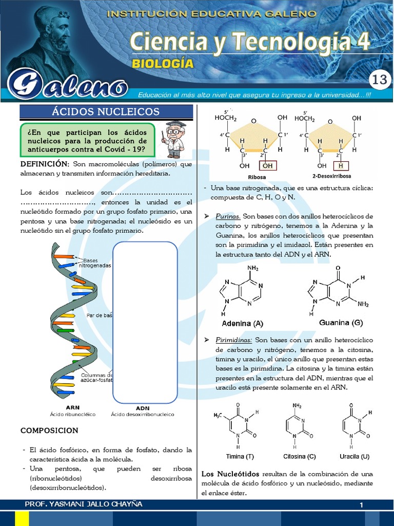 Estructura y Función de Ácidos Nucleicos | PDF | Rna | Virus