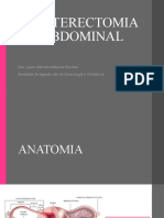 Histerectomia Abdominal Tema Servicio