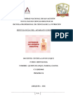 Histología Del Aparato Digestivo PDF
