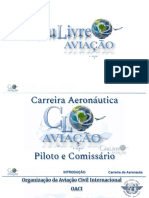 Curso de Manobra e Combate a Incêndio de Aviação – MCIA SEMIPRESENCIAL –  Shelter Cursos