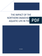 The Impact of The Northern Snakehead On Aquatic Life in The Us