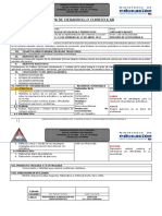 PDC Diagnostico Juan Mamani Humerez