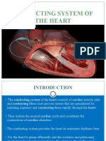 Conducting System of The Heart