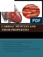 Cardiac Muscles and Their Properties