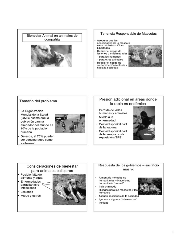 Bienestar Animal en Animales de Compañía 15-16 CV | PDF | Bienestar de ...