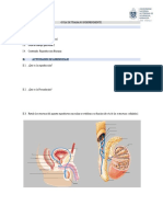 Trabajo de Biología