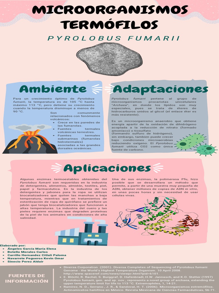 Infografía Pyrobolus | PDF | Archaea | Sustancias químicas