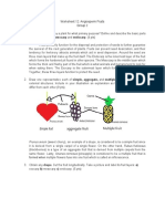 Worksheet No. 12 - Angiosperm Fruits