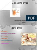 Patología del nervio óptico y campo visual